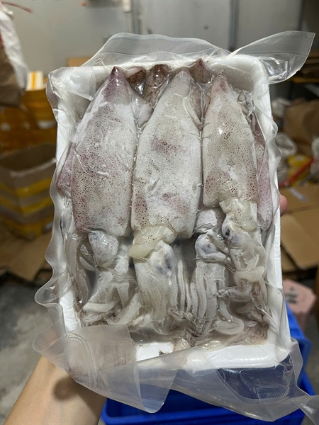 Mực Ống Size 16 Làm Sạch